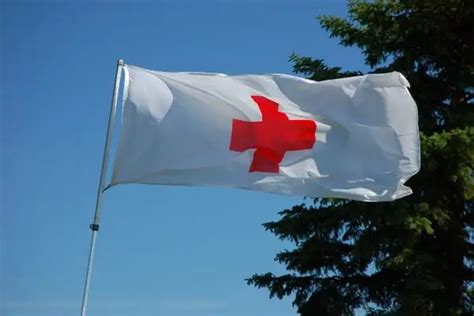 worlds largest charity|13 Largest Humanitarian Organizations In The World.